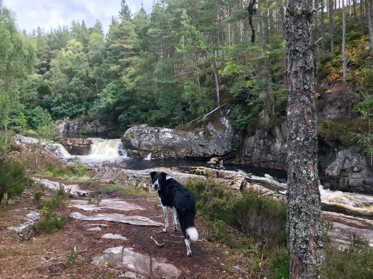 Rosemount Bothy - Highland Cottage Garve Kültér fotó